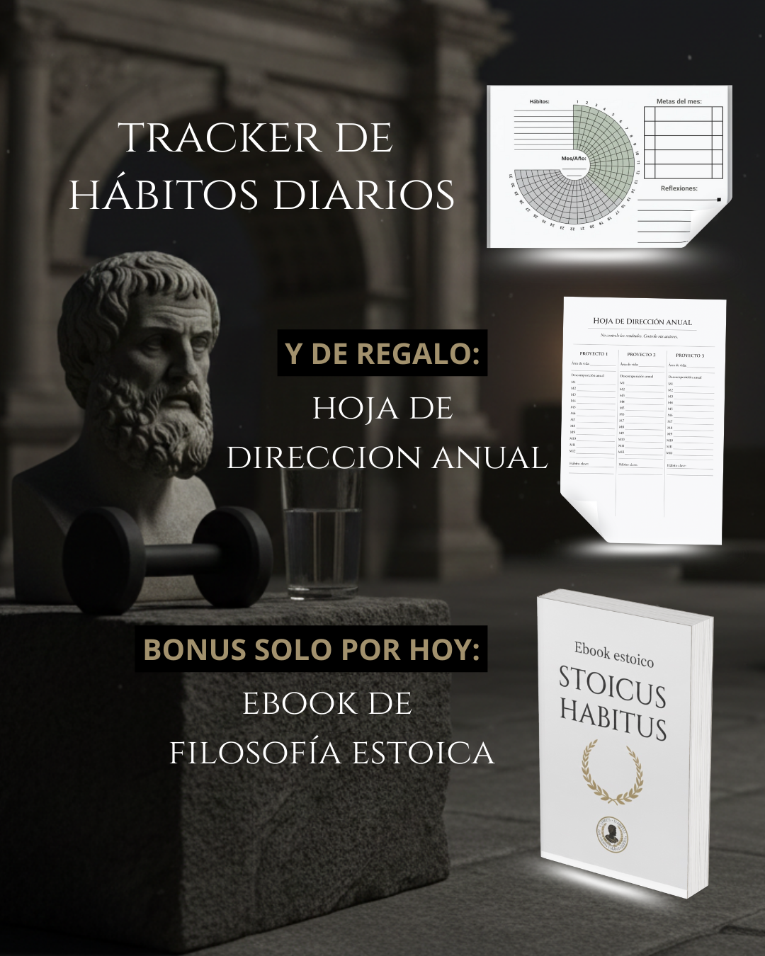 STOICUS HABITUS - RETO DE 31 DÍAS - MÉTODO ESTOICO