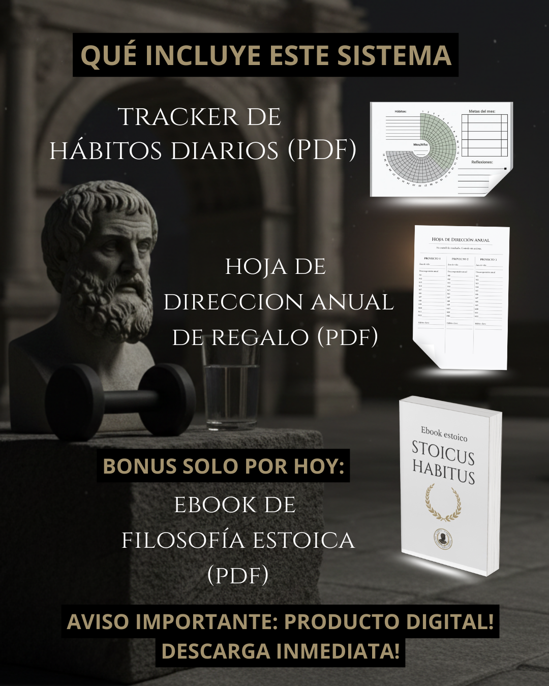 STOICUS HABITUS - RETO DE 31 DÍAS - MÉTODO ESTOICO