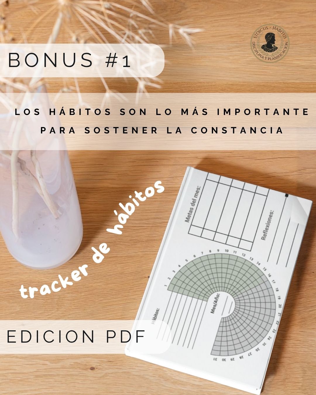 Sistema de seguimiento de tus finanzas personales